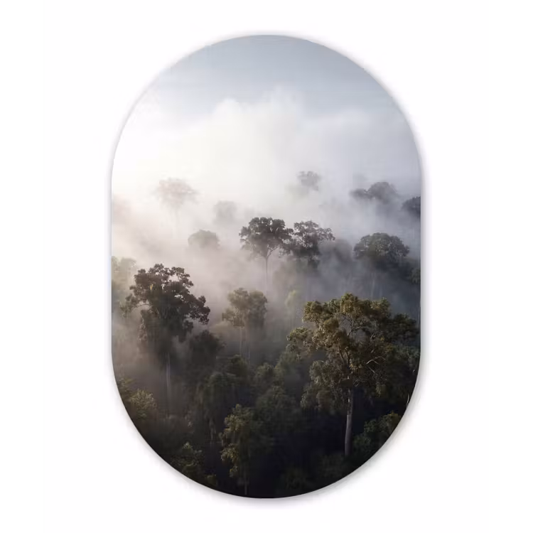 Bos - Mist - Natuur - Groen Wandcirkel Ovaal Forex klein -3d