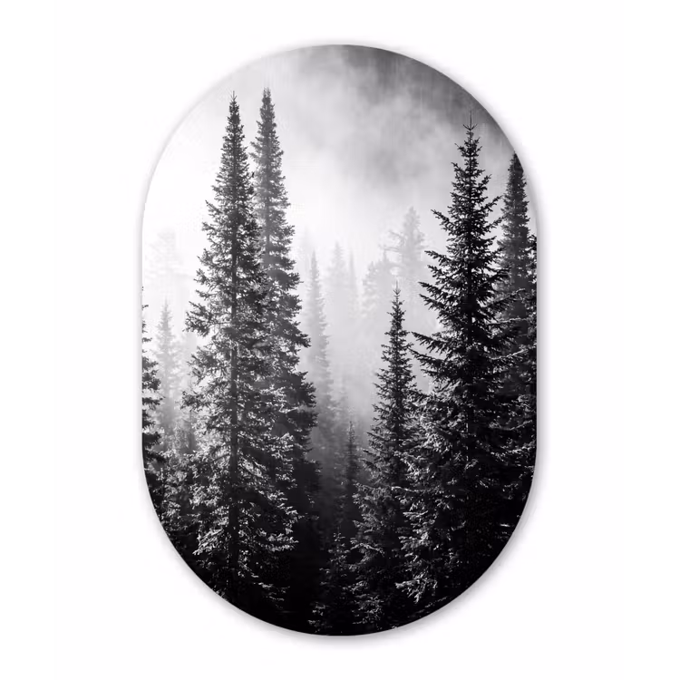 Bos - Mist - Winter - Monochroom - Natuur Wandcirkel Ovaal Forex klein -3d