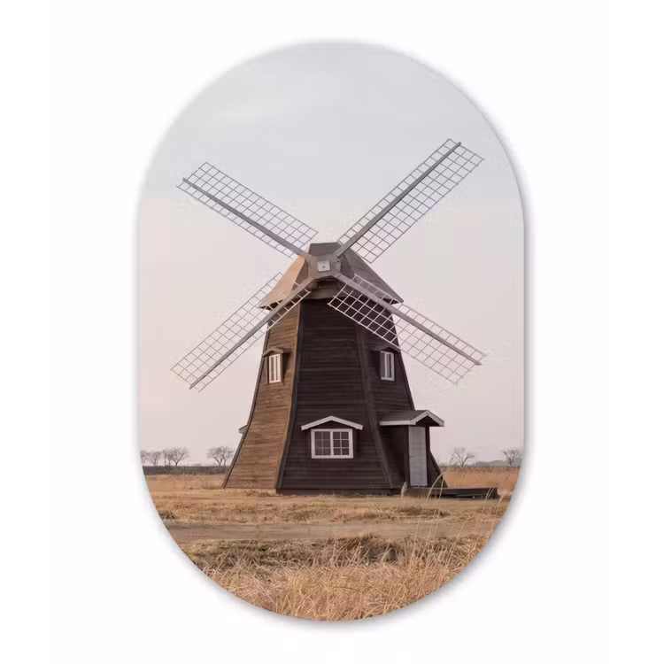 Windmolens - Landschap - Veld Wandcirkel Ovaal Forex klein -3d