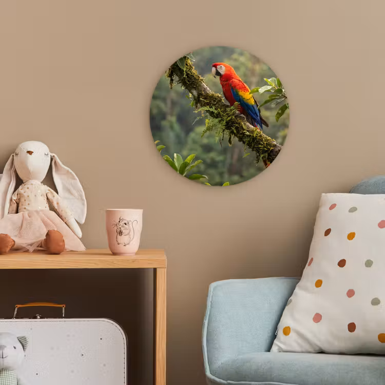 Ara - Jungle - Rood Wandcirkel kunststof plaat 5mm dik klein -tsfeer1_kind