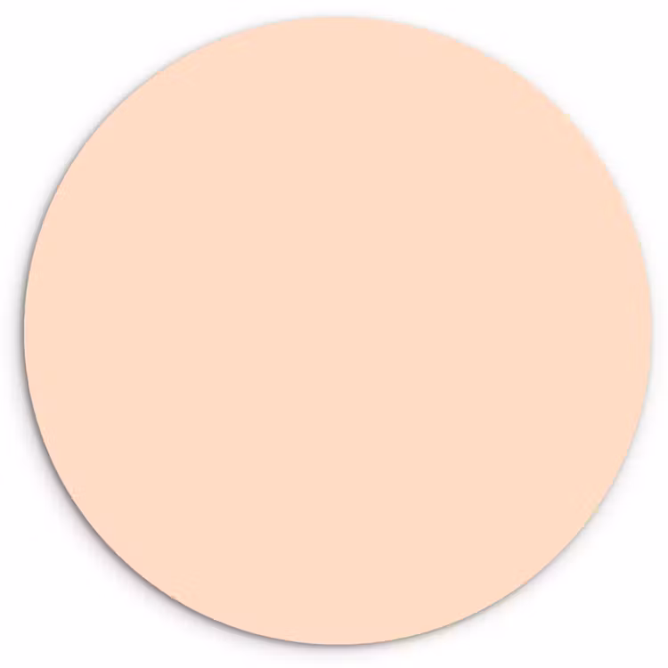 Pale - Peach - Nude Wandcirkel kunststof plaat 5mm dik klein 188 -3d
