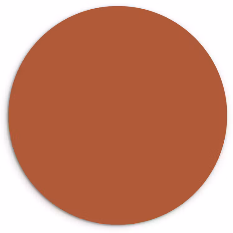Burnt - Sienna - Oranje Wandcirkel kunststof plaat 5mm dik klein 188 -3d