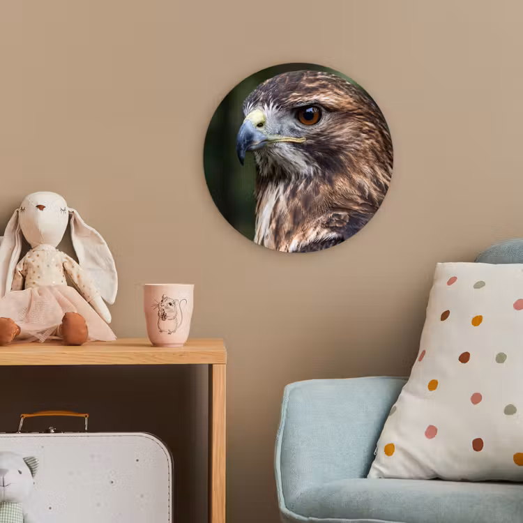 Buizerd - Roofvogel - Natuur - Bruin Wandcirkel kunststof plaat 5mm dik klein -tsfeer1_kind