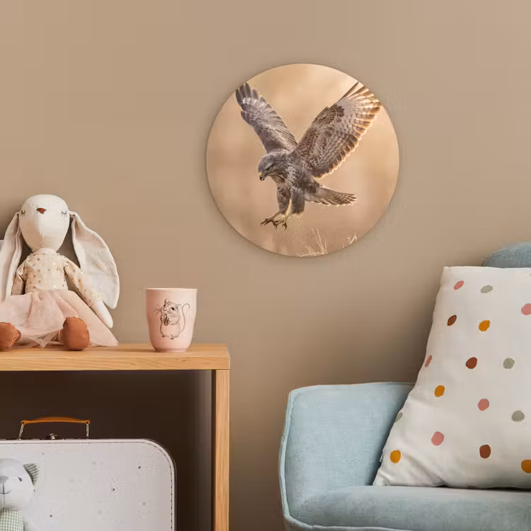 Buizerd - Roofvogel - Natuur - Bruin Wandcirkel kunststof plaat 5mm dik klein -tsfeer1_kind