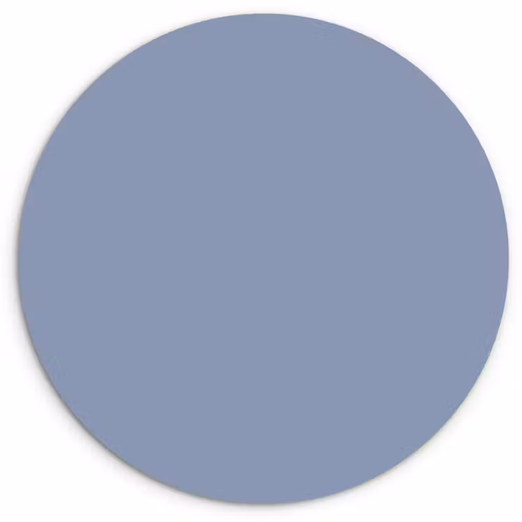 Canary - Champ - Blauw Wandcirkel kunststof plaat 5mm dik klein 188 -3d