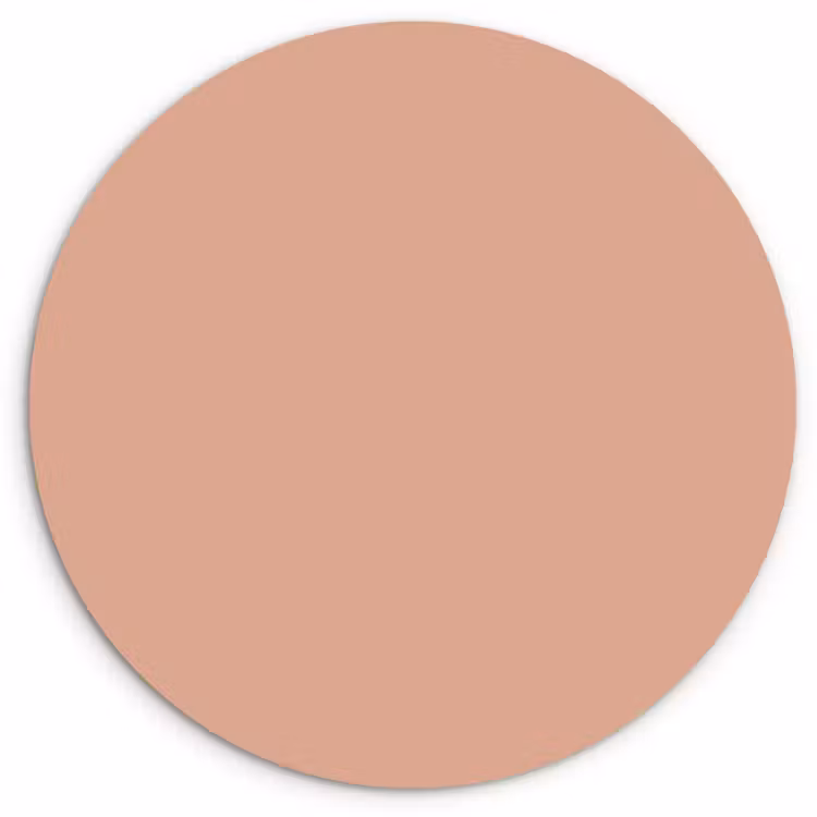 Dusty - Rose - Roze Wandcirkel kunststof plaat 5mm dik klein 188 -3d