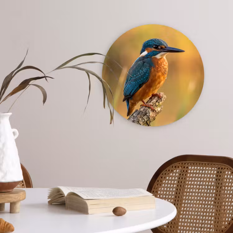 IJsvogel - Tak - Water - Kleurrijk - Levendig Wandcirkel kunststof plaat 5mm dik klein -sfeer4