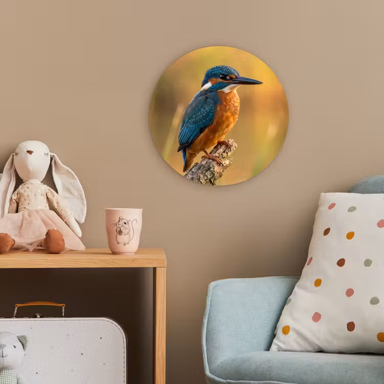 IJsvogel - Tak - Water - Kleurrijk - Levendig Wandcirkel kunststof plaat 5mm dik klein -tsfeer1_kind