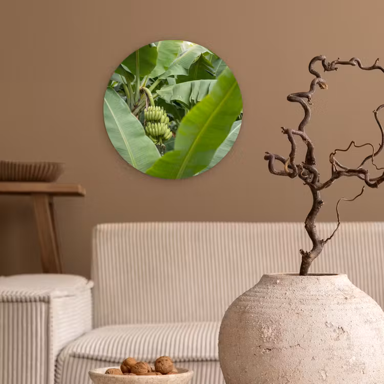 Eten - Bananen - Plantage - Groen Wandcirkel kunststof plaat 5mm dik klein -sfeer1