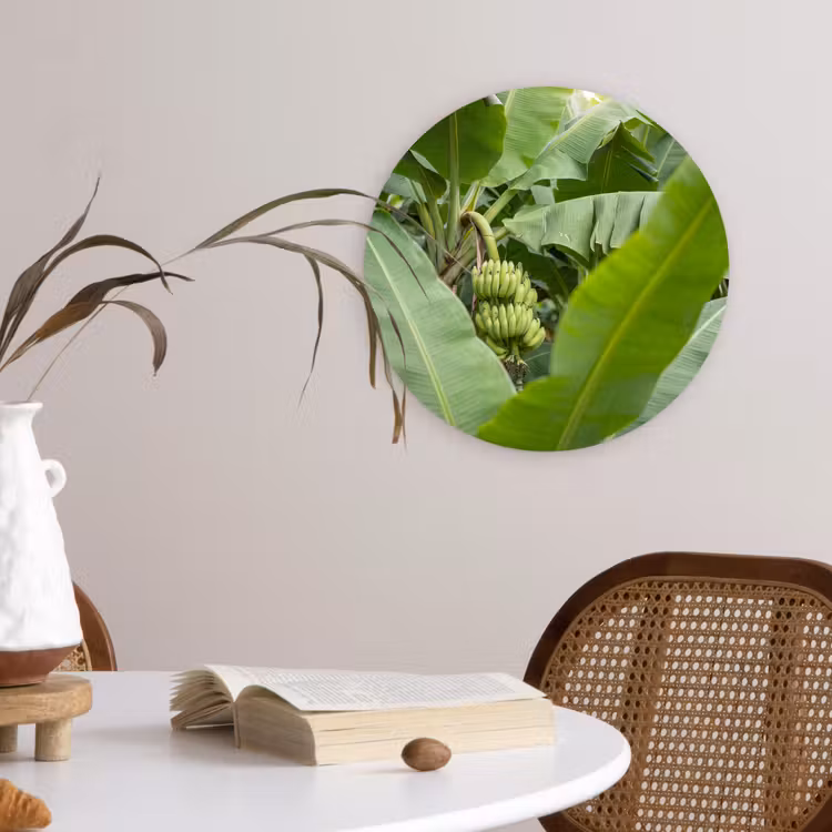 Eten - Bananen - Plantage - Groen Wandcirkel kunststof plaat 5mm dik klein -sfeer4
