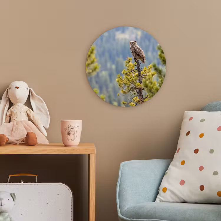 Uil - Oehoe - Bomen - Natuur Wandcirkel kunststof plaat 5mm dik klein -tsfeer1_kind