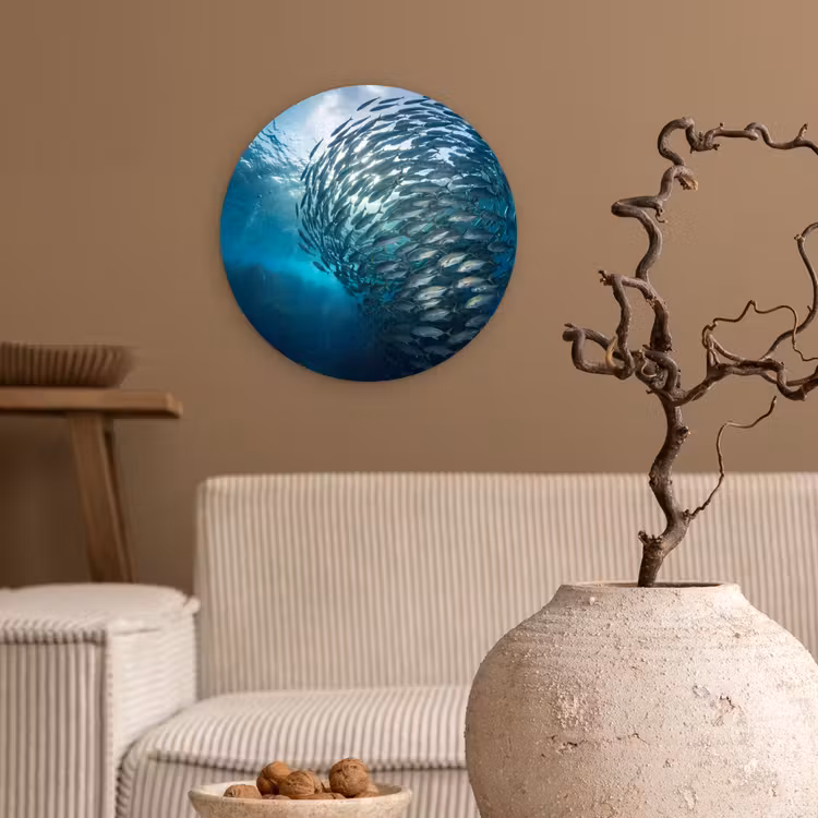 Vis - School - Oceaan - Natuur - Blauw Wandcirkel kunststof plaat 5mm dik klein -sfeer1