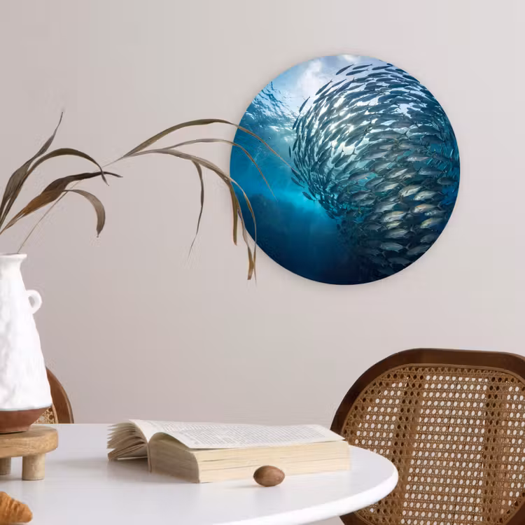 Vis - School - Oceaan - Natuur - Blauw Wandcirkel kunststof plaat 5mm dik klein -sfeer4
