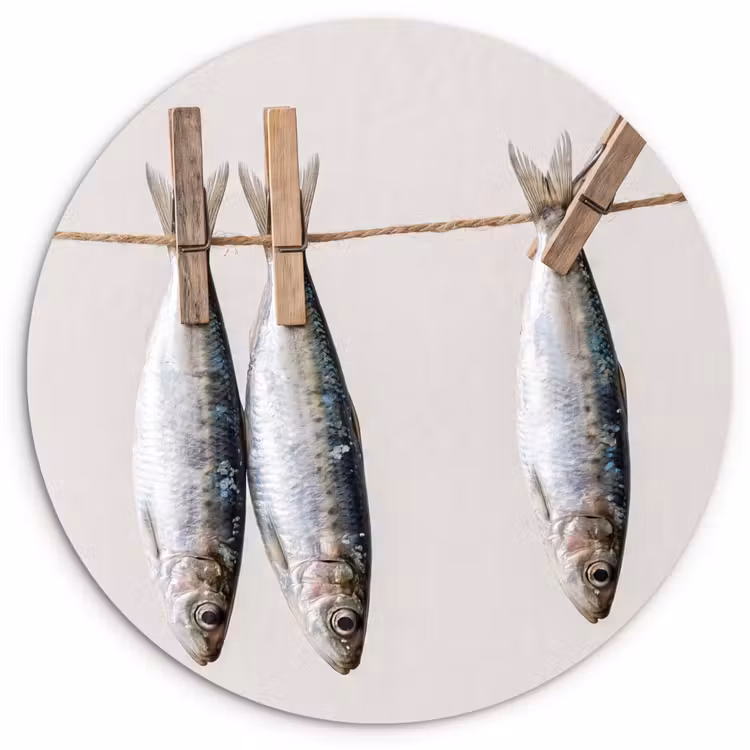 Forexbild Rund - Fisch – Hängend – Essen - Vis - Hangend - Eten Wandcirkel kunststof plaat 5mm dik klein