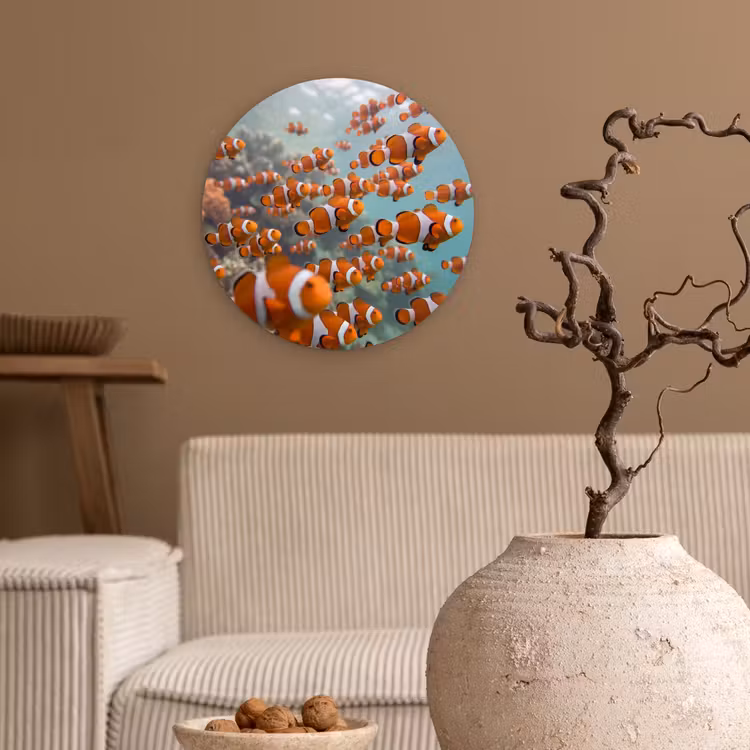 Vis - School - Onderwater - Dieren - Oranje Wandcirkel kunststof plaat 5mm dik klein -sfeer1