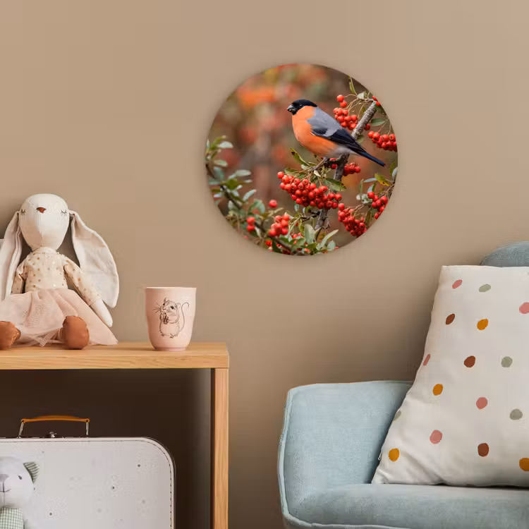 Goudvink - Bessen - Herfst - Natuur - Kleurrijk Wandcirkel kunststof plaat 5mm dik klein -tsfeer1_kind
