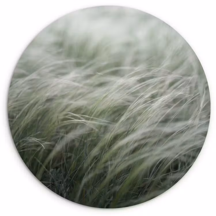 Gras - Wazig - Natuur - Groen - Zacht Wandcirkel kunststof plaat 5mm dik klein -3d