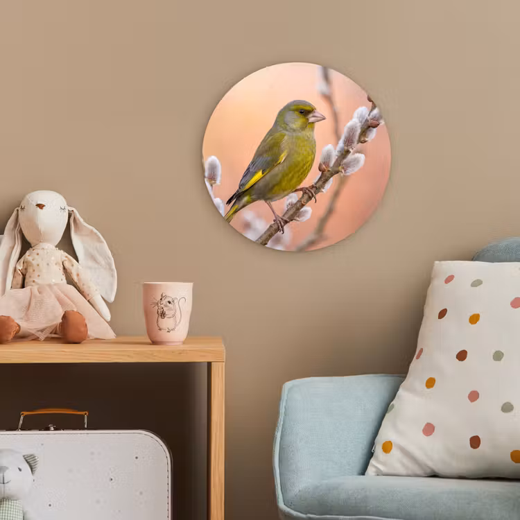 Groenling - Katjes - Lente - Natuur - Zacht Wandcirkel kunststof plaat 5mm dik klein -tsfeer1_kind