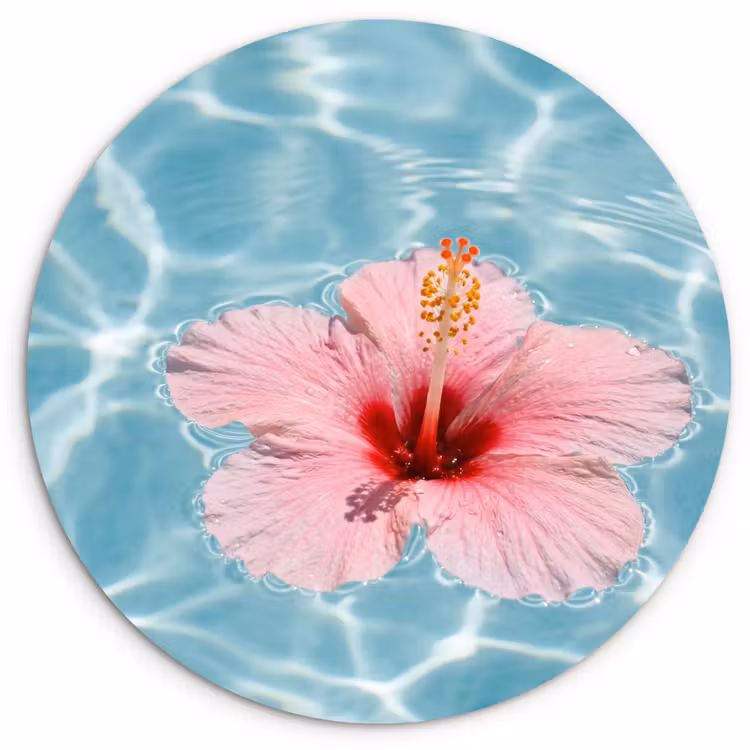 Hibiscus - Water - Roze Wandcirkel kunststof plaat 5mm dik klein -3d