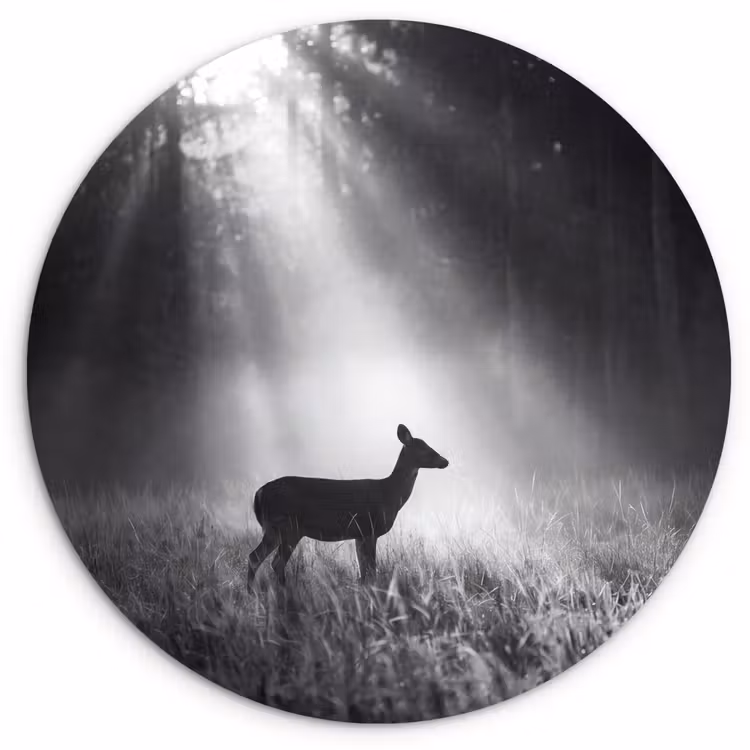 Hert - Bos - Zonnestralen - Zwart-wit - Natuur Wandcirkel kunststof plaat 5mm dik klein -3d