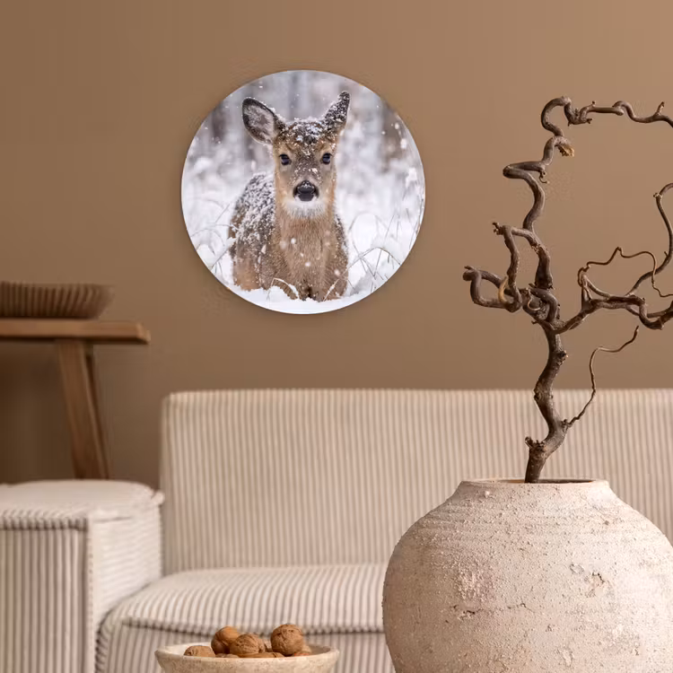 Hert - Sneeuw - Bos - Dieren - Vertederend Wandcirkel kunststof plaat 5mm dik klein -sfeer1