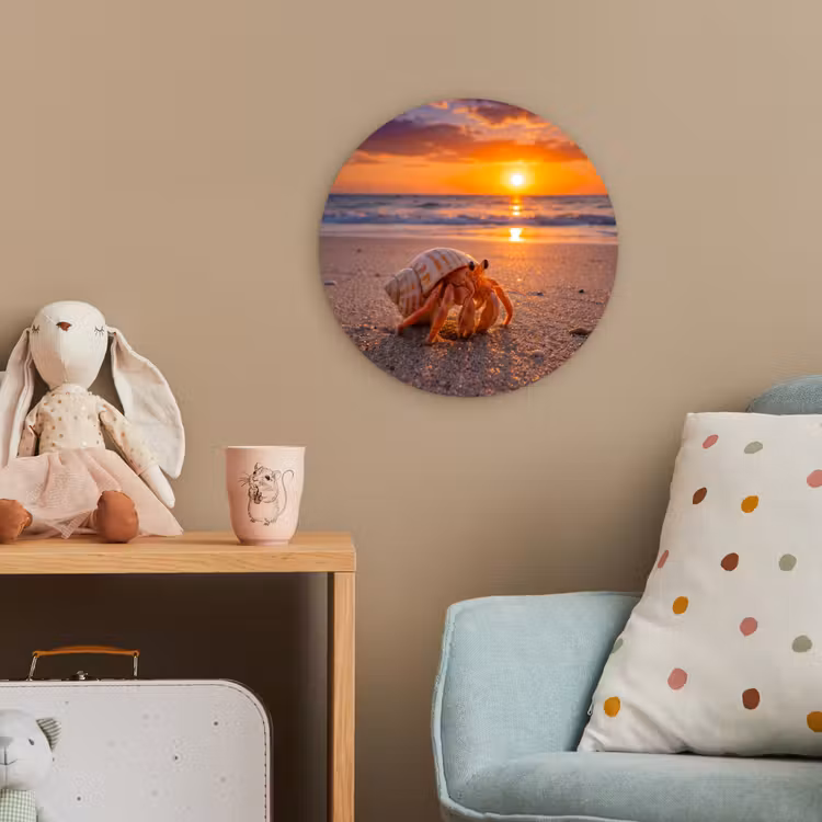 Kreeft - Strand - Natuur - Zonsondergang - Oranje Wandcirkel kunststof plaat 5mm dik klein -tsfeer1_kind