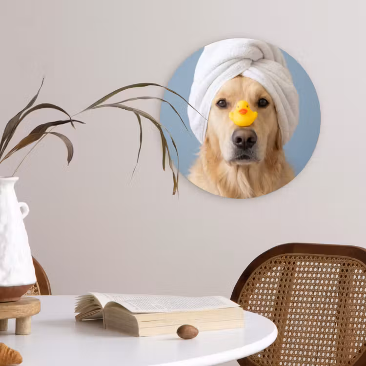 Hond - Badeend - Geel Wandcirkel kunststof plaat 5mm dik klein -sfeer4