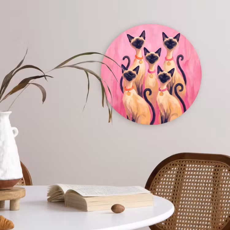 Kat - Groep - Dieren - Modern - Roze Wandcirkel kunststof plaat 5mm dik klein -sfeer4