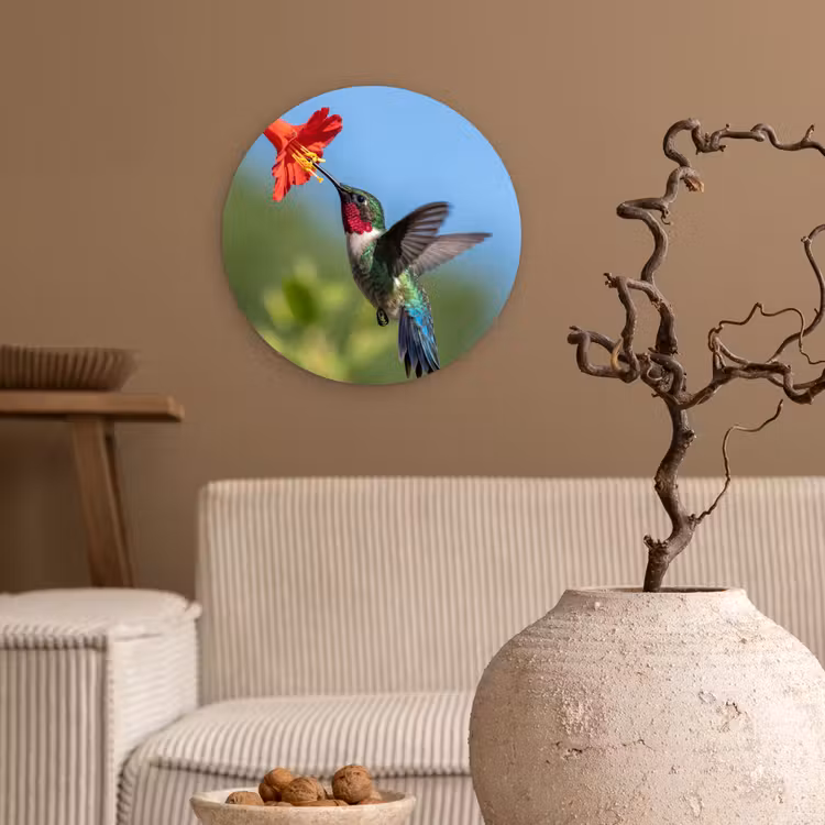 Kolibrie - Bloem - Natuur - Groen Wandcirkel kunststof plaat 5mm dik klein -sfeer1