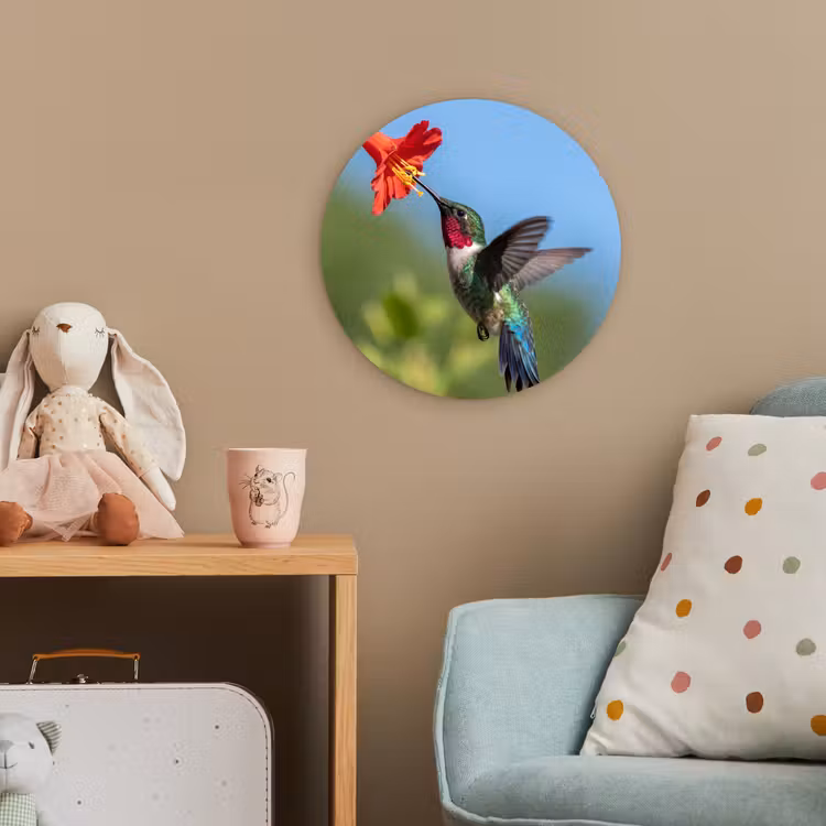 Kolibrie - Bloem - Natuur - Groen Wandcirkel kunststof plaat 5mm dik klein -tsfeer1_kind