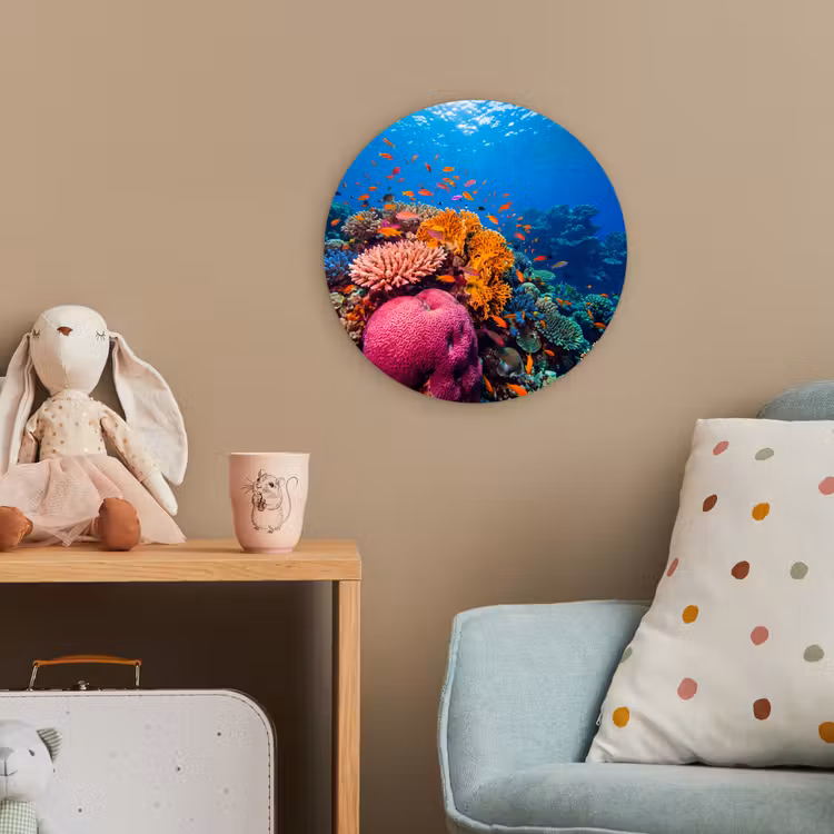 Koraal - Vissen - Oceaan - Natuur - Kleurrijk Wandcirkel kunststof plaat 5mm dik klein -tsfeer1_kind