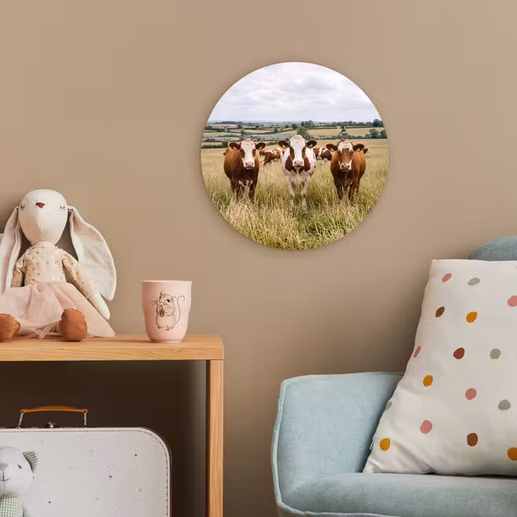 Koeien - Portret - Weide - Boerderij - Nieuwsgierig Wandcirkel kunststof plaat 5mm dik klein -tsfeer1_kind