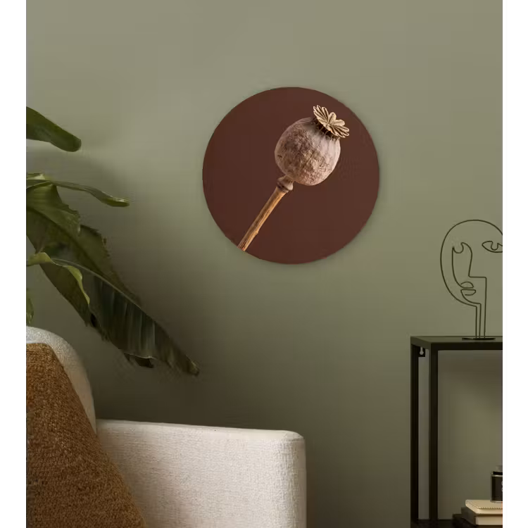 Papaverbol - Droogbloem - Bruin - Minimalistisch Wandcirkel kunststof plaat 5mm dik klein -sfeer3