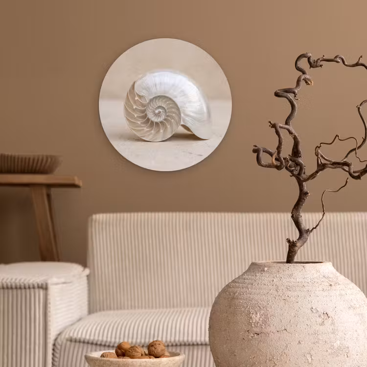 Schelp - Spiraal - Beige Wandcirkel kunststof plaat 5mm dik klein -sfeer1