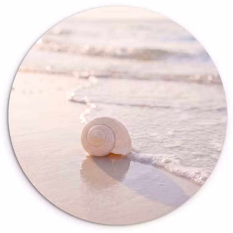Zeeschelp - Strand - Zee - Natuur - Beige Wandcirkel kunststof plaat 5mm dik klein -3d