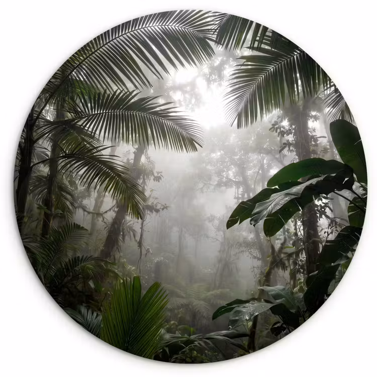 Natuur - Jungle - Mist - Groen - Bladeren Wandcirkel kunststof plaat 5mm dik klein -3d