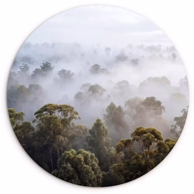 Natuur - Mist - Bos - Ochtend - Goud Wandcirkel kunststof plaat 5mm dik klein -3d
