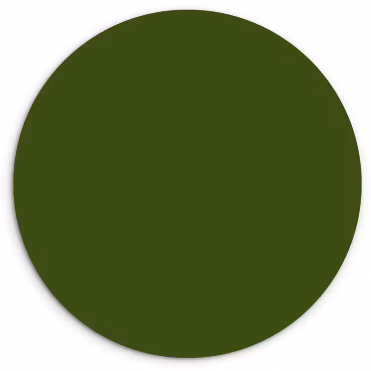 Olive - Drab - Groen Wandcirkel kunststof plaat 5mm dik klein 188 -3d
