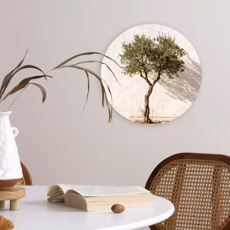 Forexbild Rund - Olivenbaum – Wand – weiß - Olijfboom - muur - wit Wandcirkel kunststof plaat 5mm dik klein