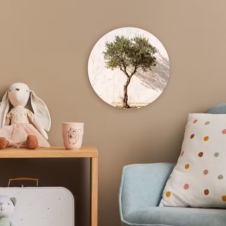 Forexbild Rund - Olivenbaum – Wand – weiß - Olijfboom - muur - wit Wandcirkel kunststof plaat 5mm dik klein