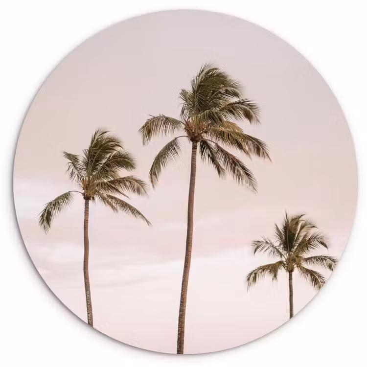 Palmbomen - Zonsondergang - Roze Wandcirkel kunststof plaat 5mm dik klein -3d