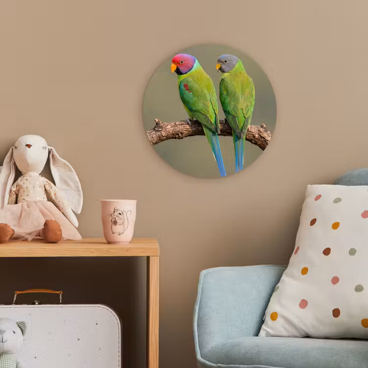 Papagaai - Tak - Natuur - Kleurrijk Wandcirkel kunststof plaat 5mm dik klein -tsfeer1_kind