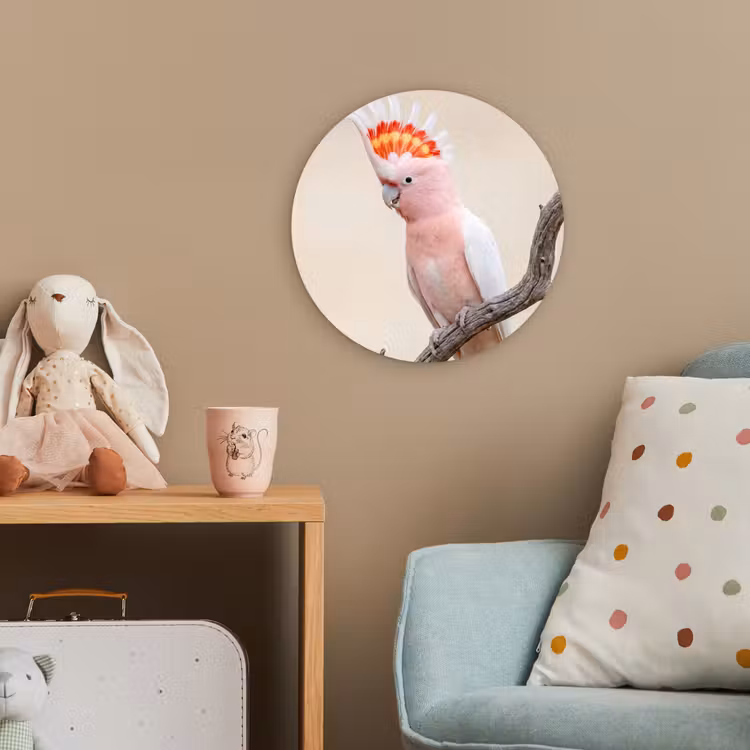 Papagaai - Tak - Roze Wandcirkel kunststof plaat 5mm dik klein -tsfeer1_kind