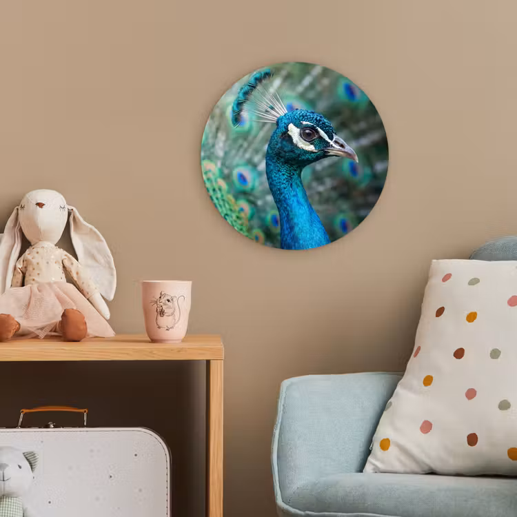 Pauw - Veren - Blauw Wandcirkel kunststof plaat 5mm dik klein -tsfeer1_kind