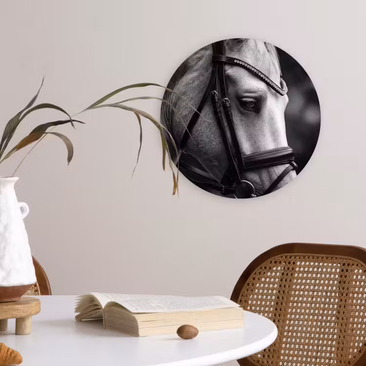 Paard - Schimmel - Portret Wandcirkel kunststof plaat 5mm dik klein -sfeer4
