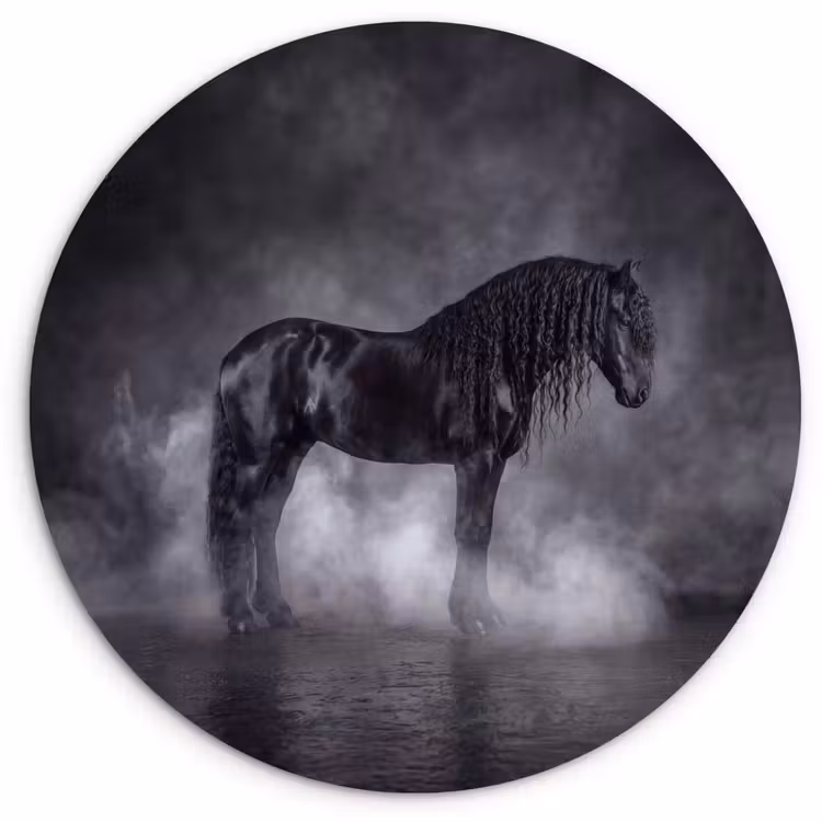 Paard - Magisch - Zwart Wandcirkel kunststof plaat 5mm dik klein -3d