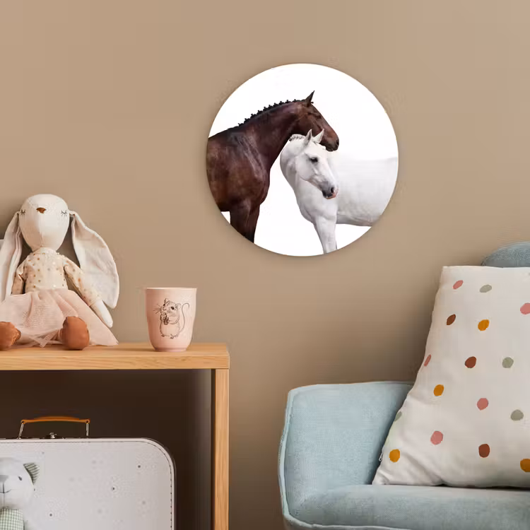 Paard - Modern - Balans Wandcirkel kunststof plaat 5mm dik klein -tsfeer1_kind