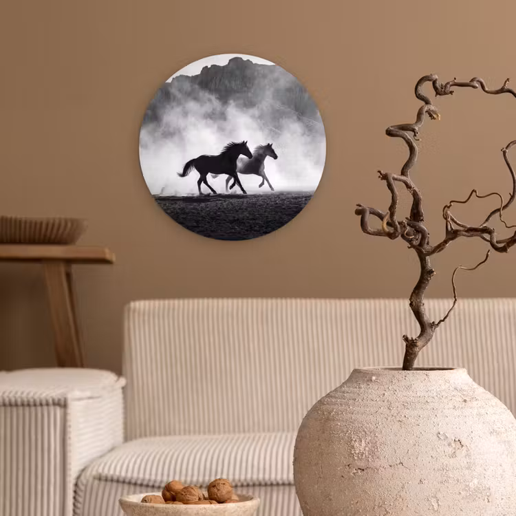 Paard - Ren - Stof - Zwart-wit - Dieren Wandcirkel kunststof plaat 5mm dik klein -sfeer1