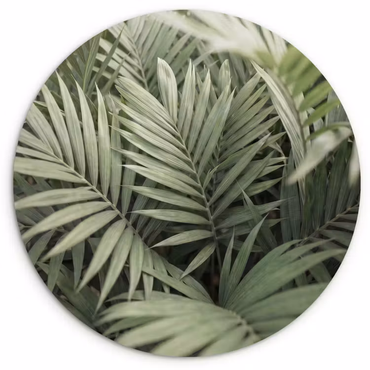 Plant - Palmbladeren - Natuur - Groen Wandcirkel kunststof plaat 5mm dik klein -3d