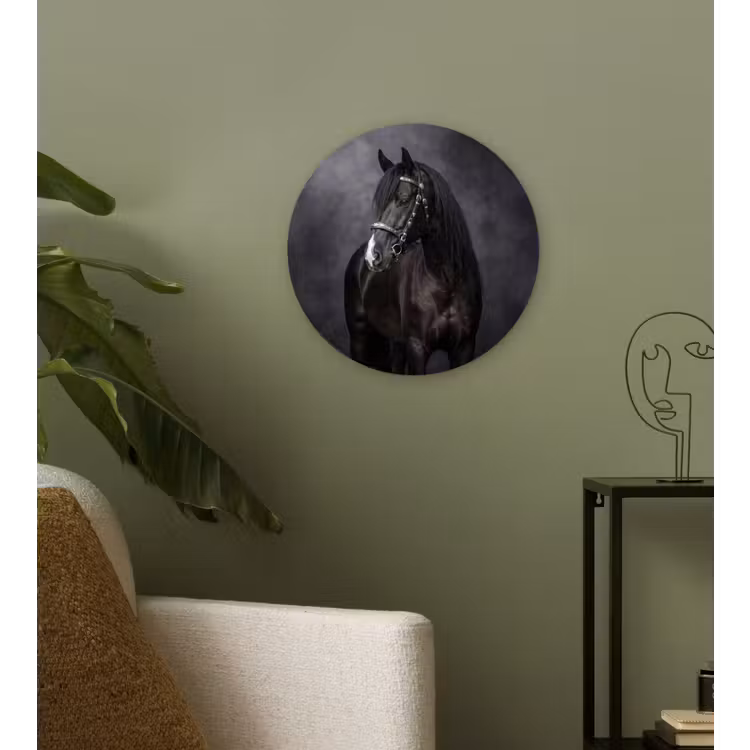 Portret - Paard - Zwart Wandcirkel kunststof plaat 5mm dik klein -sfeer3